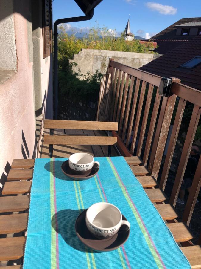 Appartement dans la vieille ville, en face du château Annecy Exterior foto